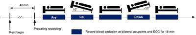 The Relationship Between Blood Perfusion in the Lower Extremities and Heart Rate Variability at Different Positions